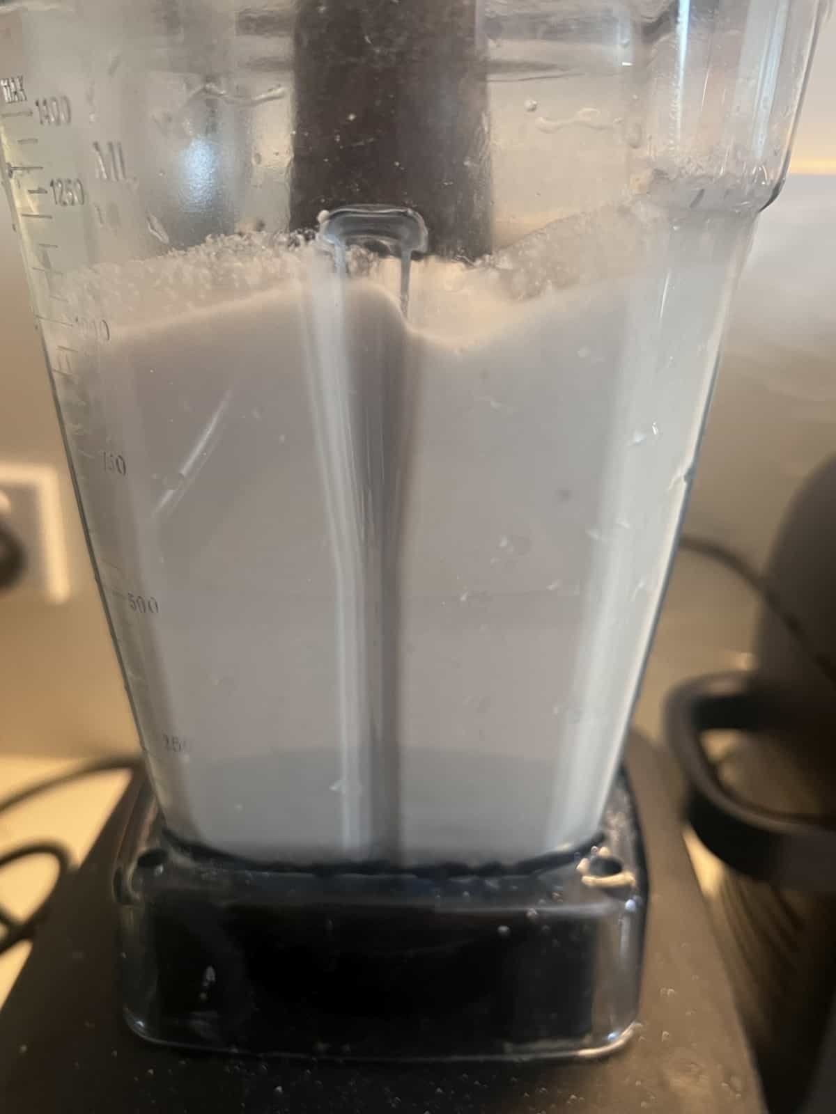 Perfect idli and dosa batter in vitamix blender SecondRecipe