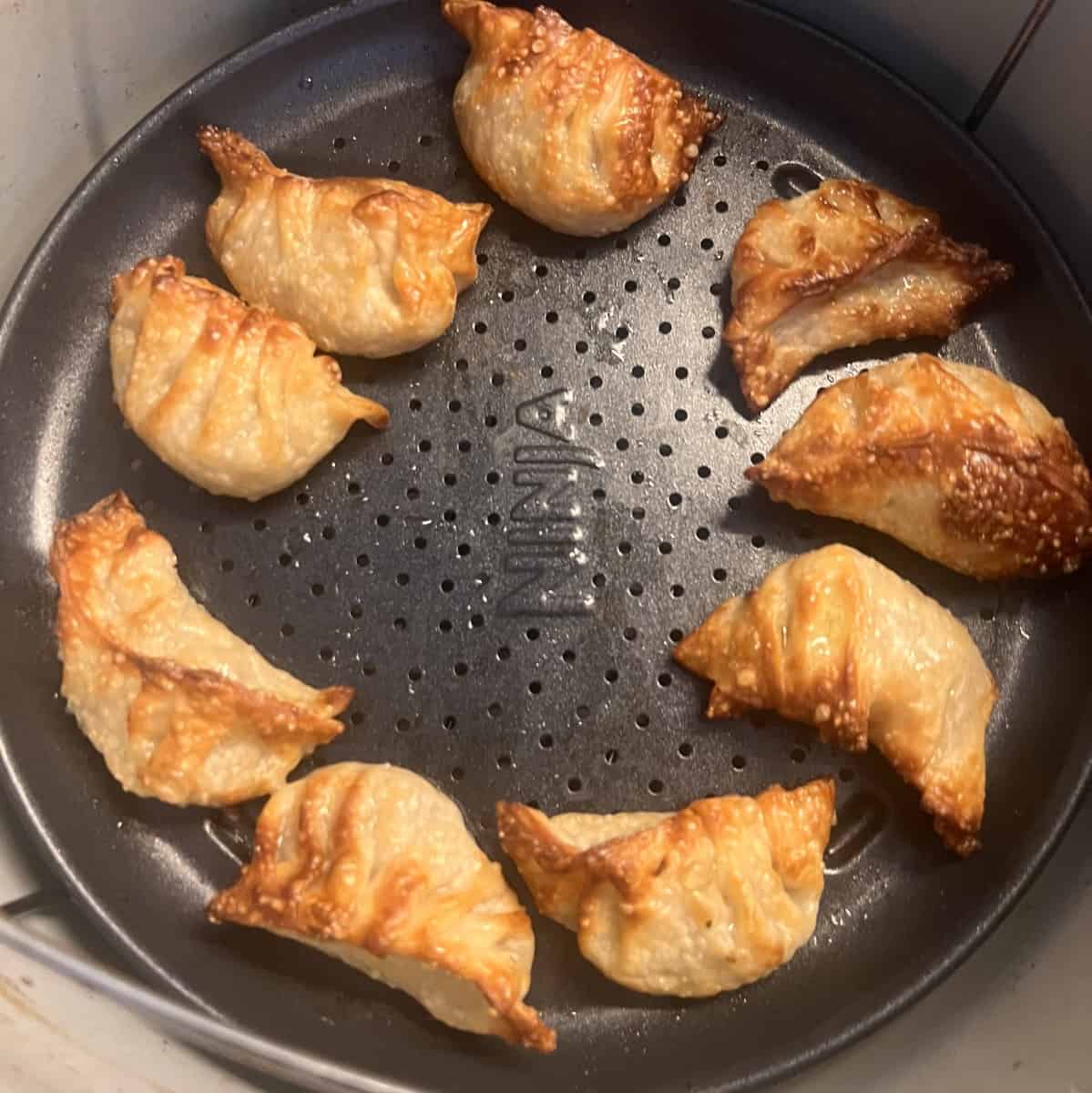 Vegan fried dumplings air fryer vegetable potstickers SecondRecipe
