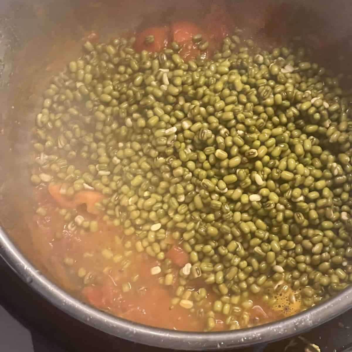 Mung beans instant pot Green moong dal recipe SecondRecipe