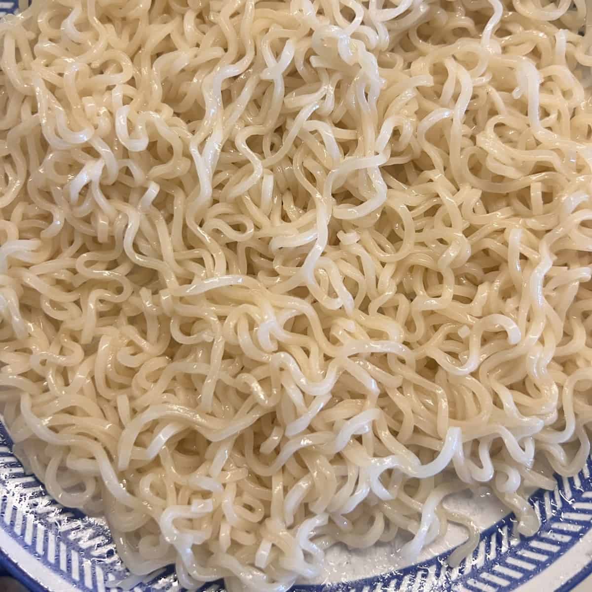 Air fryer noodles easy american veg chop suey SecondRecipe